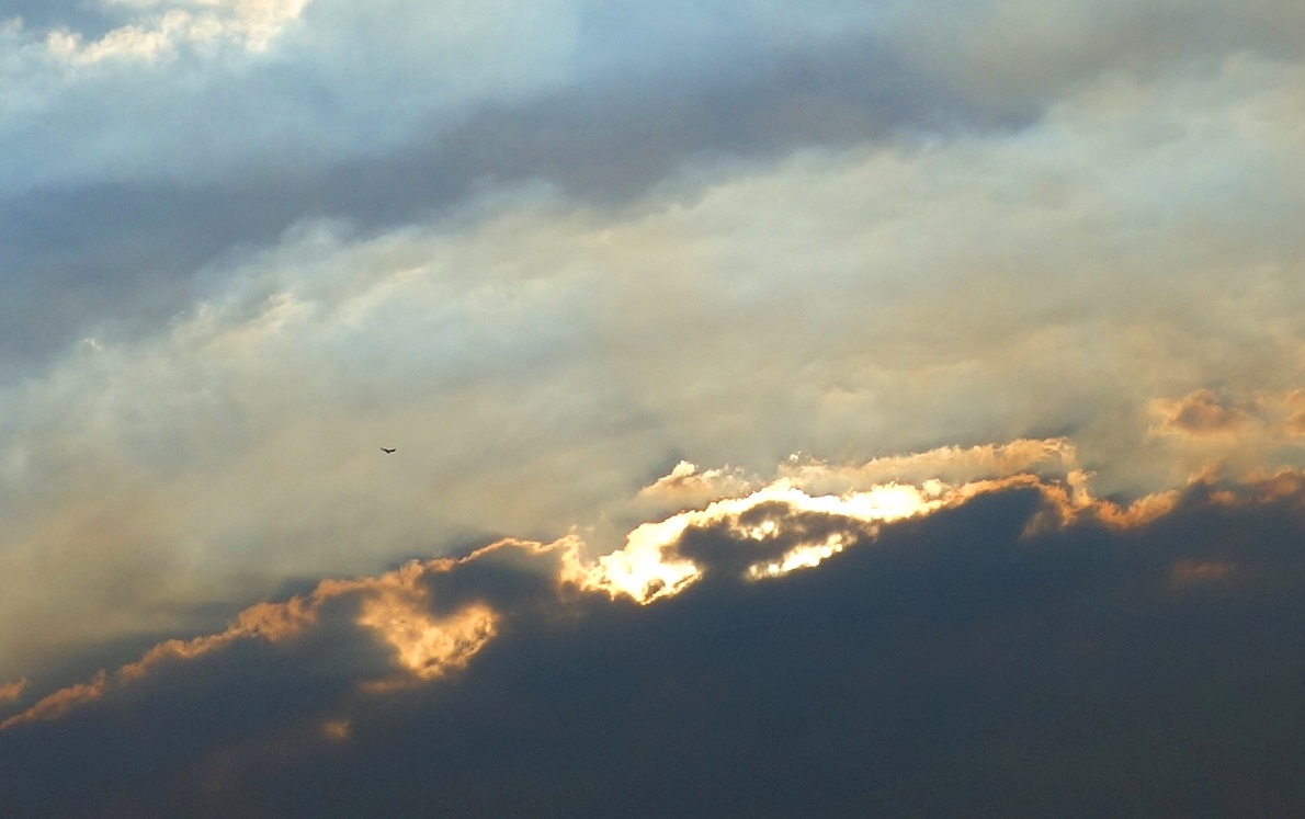 DSC01964 - Copy - Copy (2)