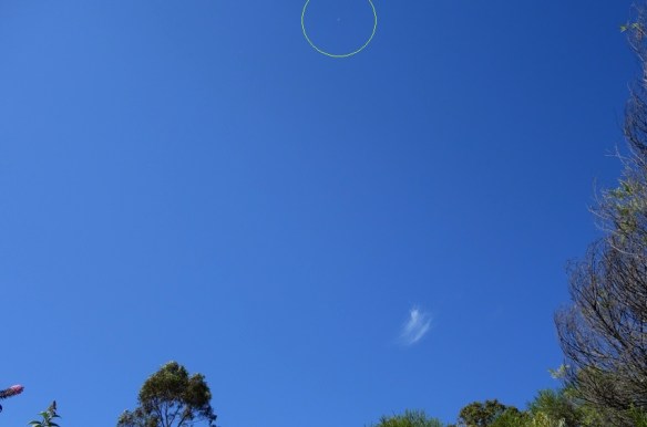 DSC04372 - Copy - Copy