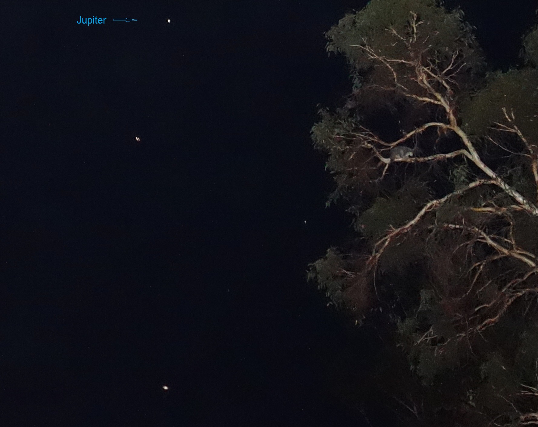 DSC05778 - Copy - Copy