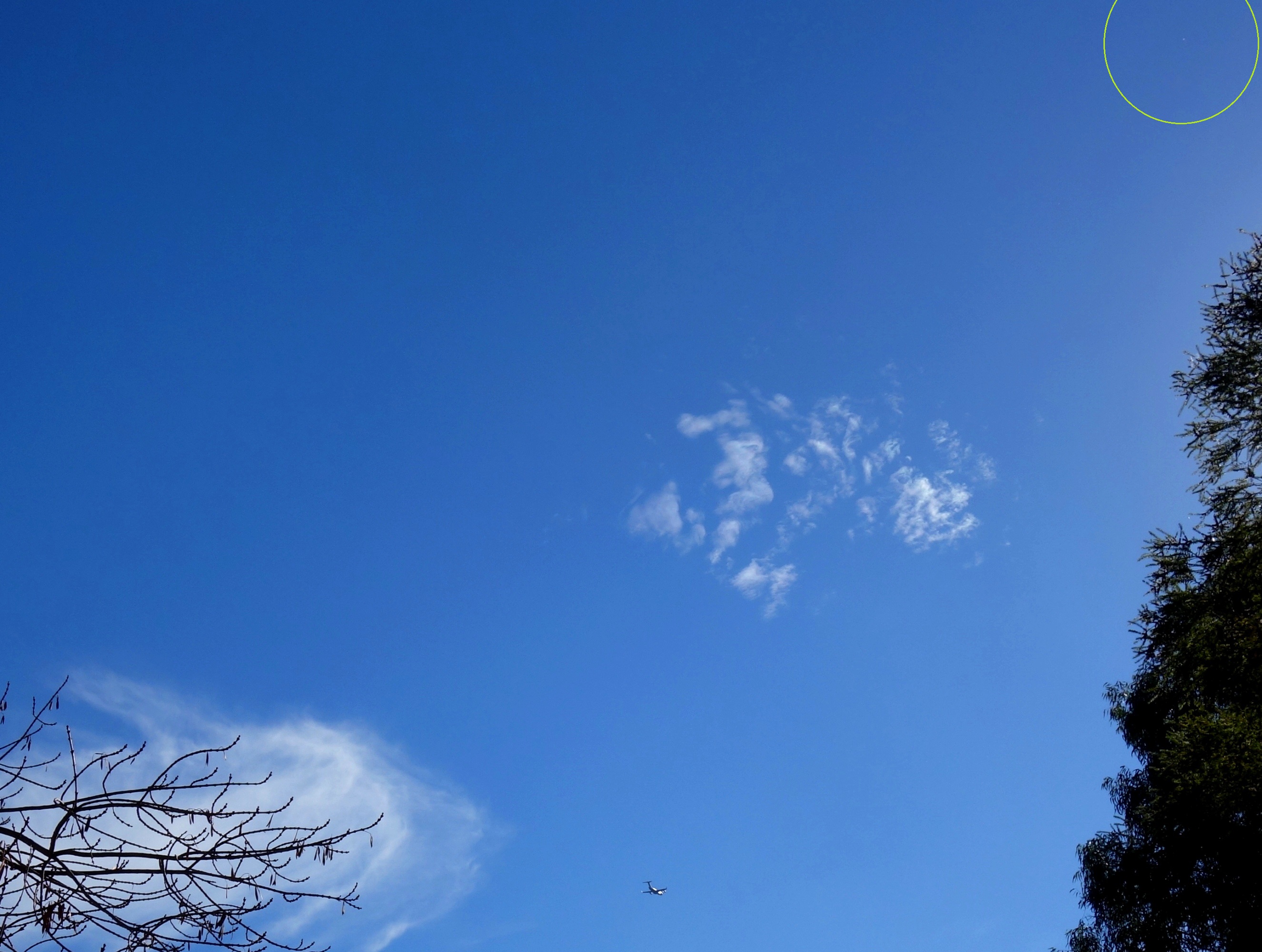 DSC06366 - Copy - Copy