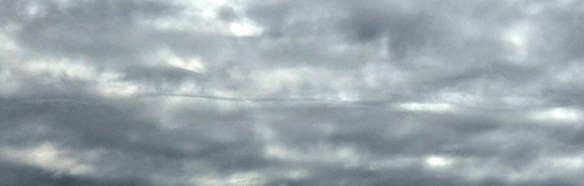 DSC07233 - Copy - Copy