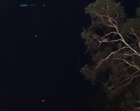 DSC05778 - Copy - Copy