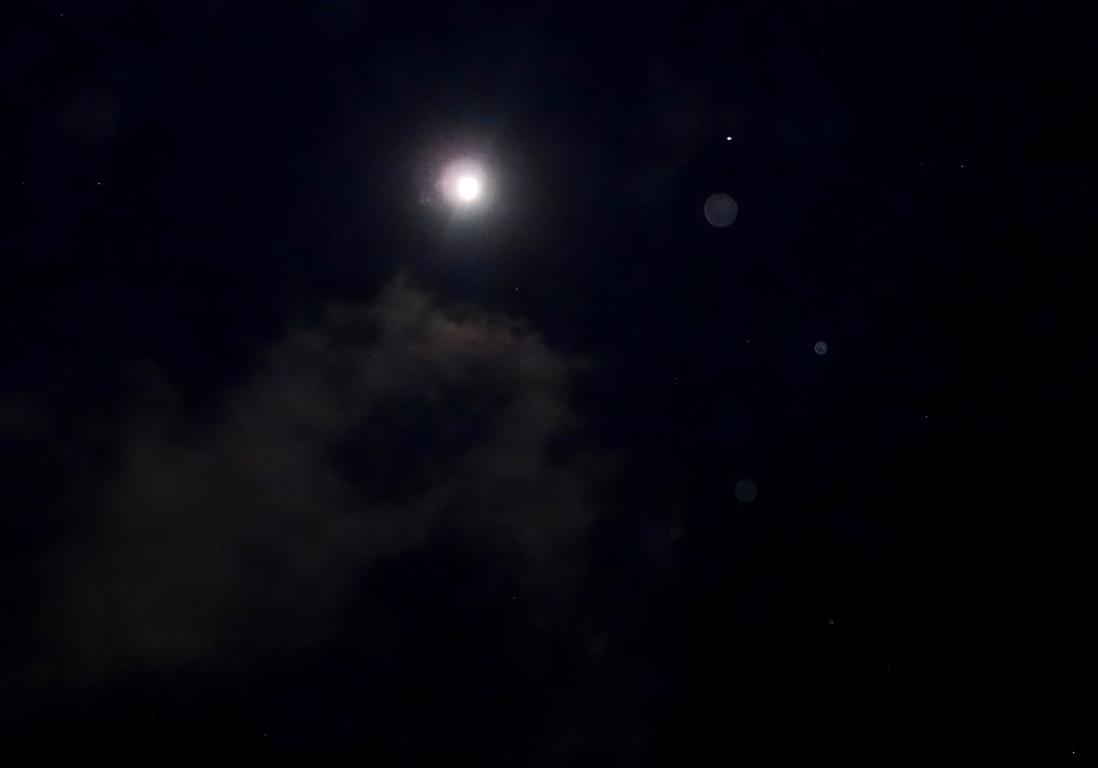 DSC09823 - Copy (2) - Copy