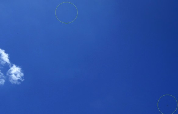 dsc09703 - copy - copy