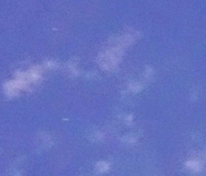 DSC03129 - Copy - Copy - Copy